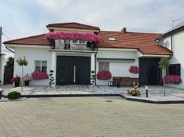 Miniatura Jarbet.net - Brukarstwo, Bydgoszcz.