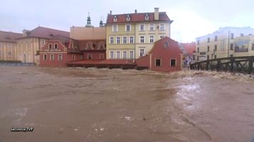 Miniatura zdjęcia 4
