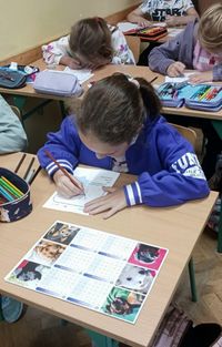 Miniatura zdjęcia 3