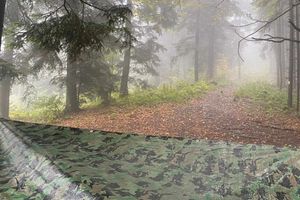 Miniatura Warsztaty terenowe