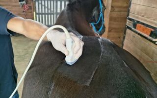 Miniatura zdjęcia 1