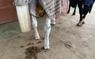 Miniatura zdjęcia 3