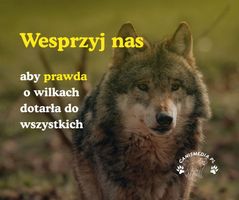 Miniatura zdjęcia 2