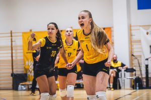 Miniatura zdjęcia 3