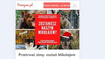 Miniatura zdjęcia 1