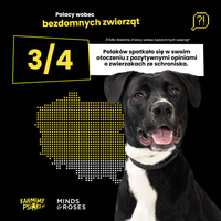 Miniatura zdjęcia 2