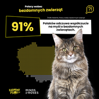 Miniatura zdjęcia 1