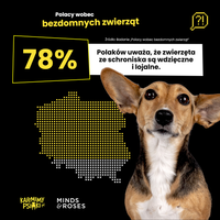 Miniatura zdjęcia 3