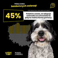 Miniatura zdjęcia 4