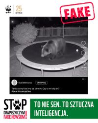 Miniatura zdjęcia 1