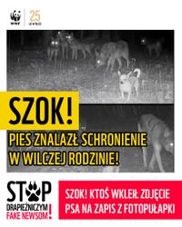 Miniatura zdjęcia 2