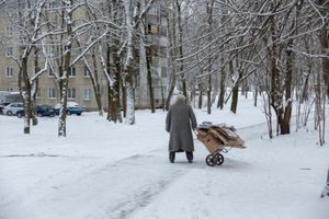 Miniatura zdjęcia 2