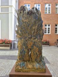 Miniatura zdjęcia 4