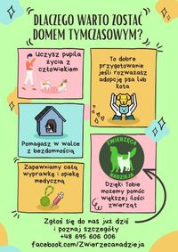 Miniatura Pomóż bezdomnym zwierzakom zostając domem tymczasowym dla naszych podopiecznych