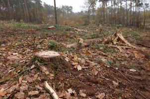 Miniatura zdjęcia 6