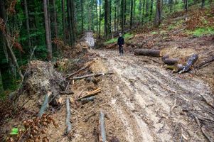 Miniatura zdjęcia 1