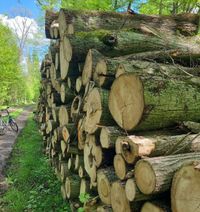 Miniatura zdjęcia 2