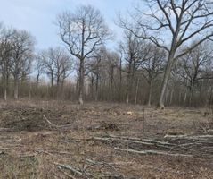 Miniatura zdjęcia 3