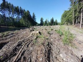 Miniatura zdjęcia 5