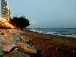 Miniatura zdjęcia 5