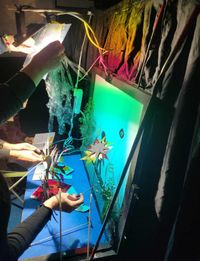 Miniatura zdjęcia 4