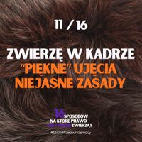 Miniatura zdjęcia 2