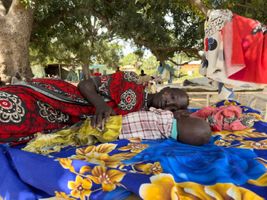 Miniatura zdjęcia 3