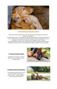 Miniatura Promocyjne kadry treści e-booka - Postawy wizualne psów