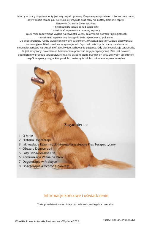 Promocyjne kadry treści e-booka - Zagadnienia