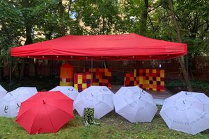 Miniatura zdjęcia 4