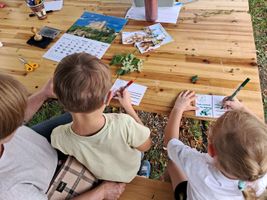 Miniatura zdjęcia 2