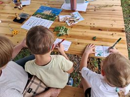 Miniatura zdjęcia 3