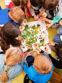 Miniatura zdjęcia 1