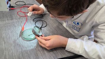 Miniatura zdjęcia 5