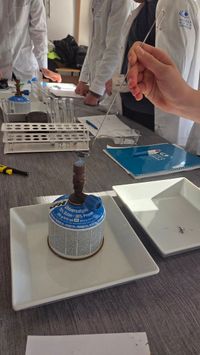 Miniatura zdjęcia 3