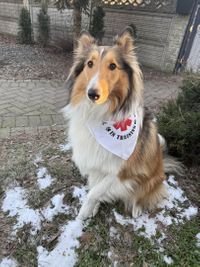 Miniatura zdjęcia 1