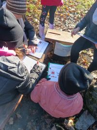 Miniatura zdjęcia 4