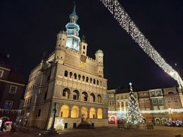 Miniatura zdjęcia 3