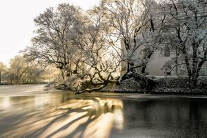 Miniatura zdjęcia 2