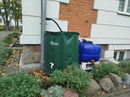 Miniatura zdjęcia 2