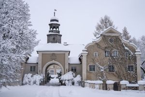 Miniatura Galiny zima