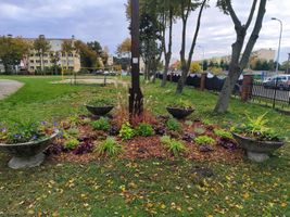 Miniatura zdjęcia 1