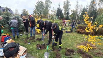 Miniatura zdjęcia 4