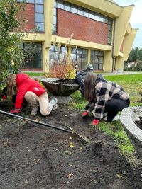 Miniatura zdjęcia 6