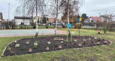 Miniatura zdjęcia 5