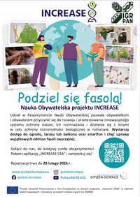 Miniatura zdjęcia 3