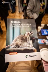 Miniatura zdjęcia 3