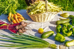 Miniatura zdjęcia 1