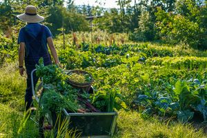 Miniatura zdjęcia 2