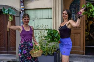 Miniatura zdjęcia 4